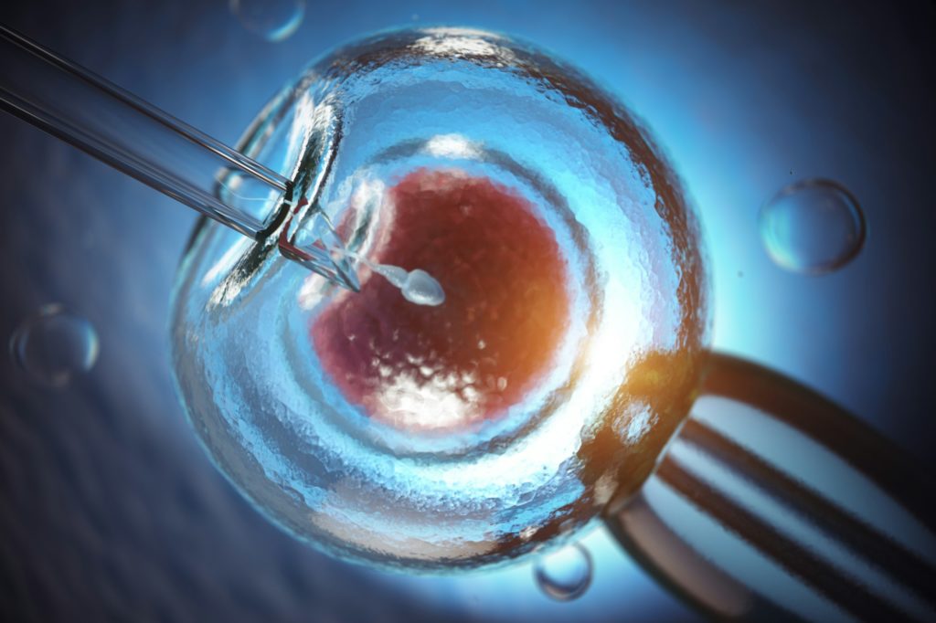 IVF involves the fertilization of one or more human ova with sperm in a petri dish